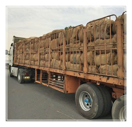 Jute Gunny Bags - Image 4