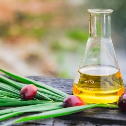 Crude Palm Kernel Oil (CPKO)