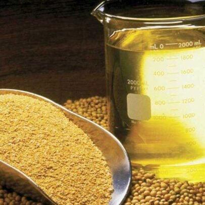 Refined Bleached Deodorized (RBD) Soybean Oil