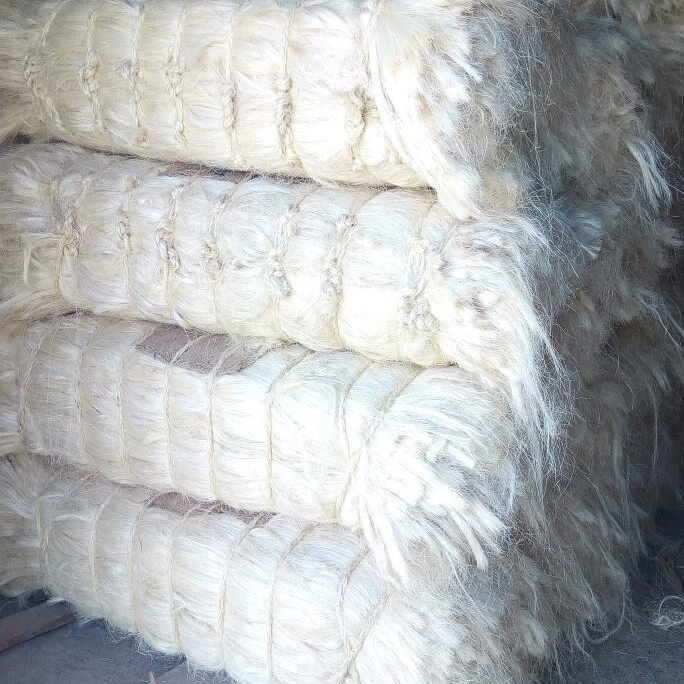 Sisal Fiber Ug Grade - Image 4