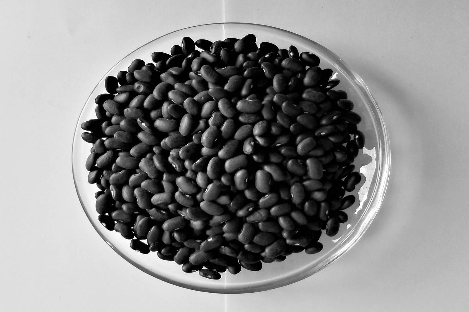 Black Kidney Beans