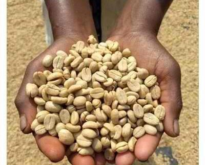 Lekemoti Natural Coffee