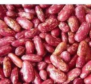 Red Speckled kidney Beans